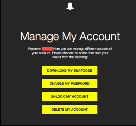 Snapchat Online Management